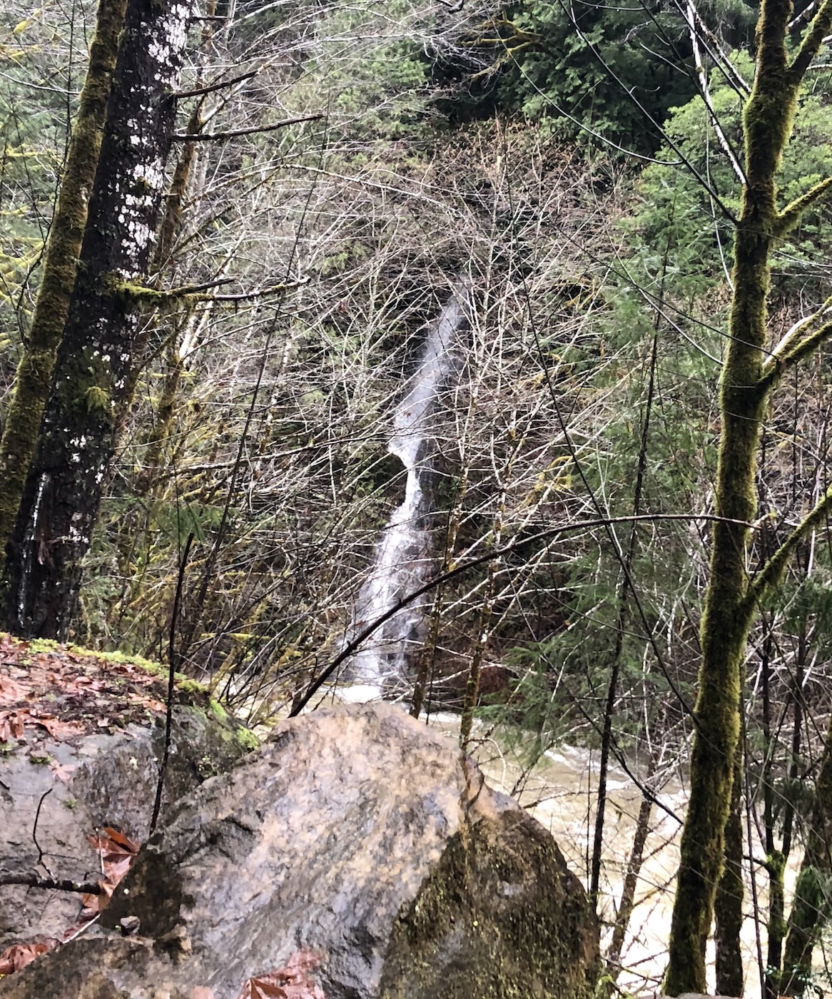 Unnamed Waterfall #4 Coquille