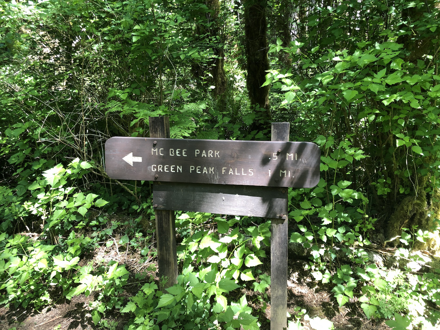 1st Green Peak Sign